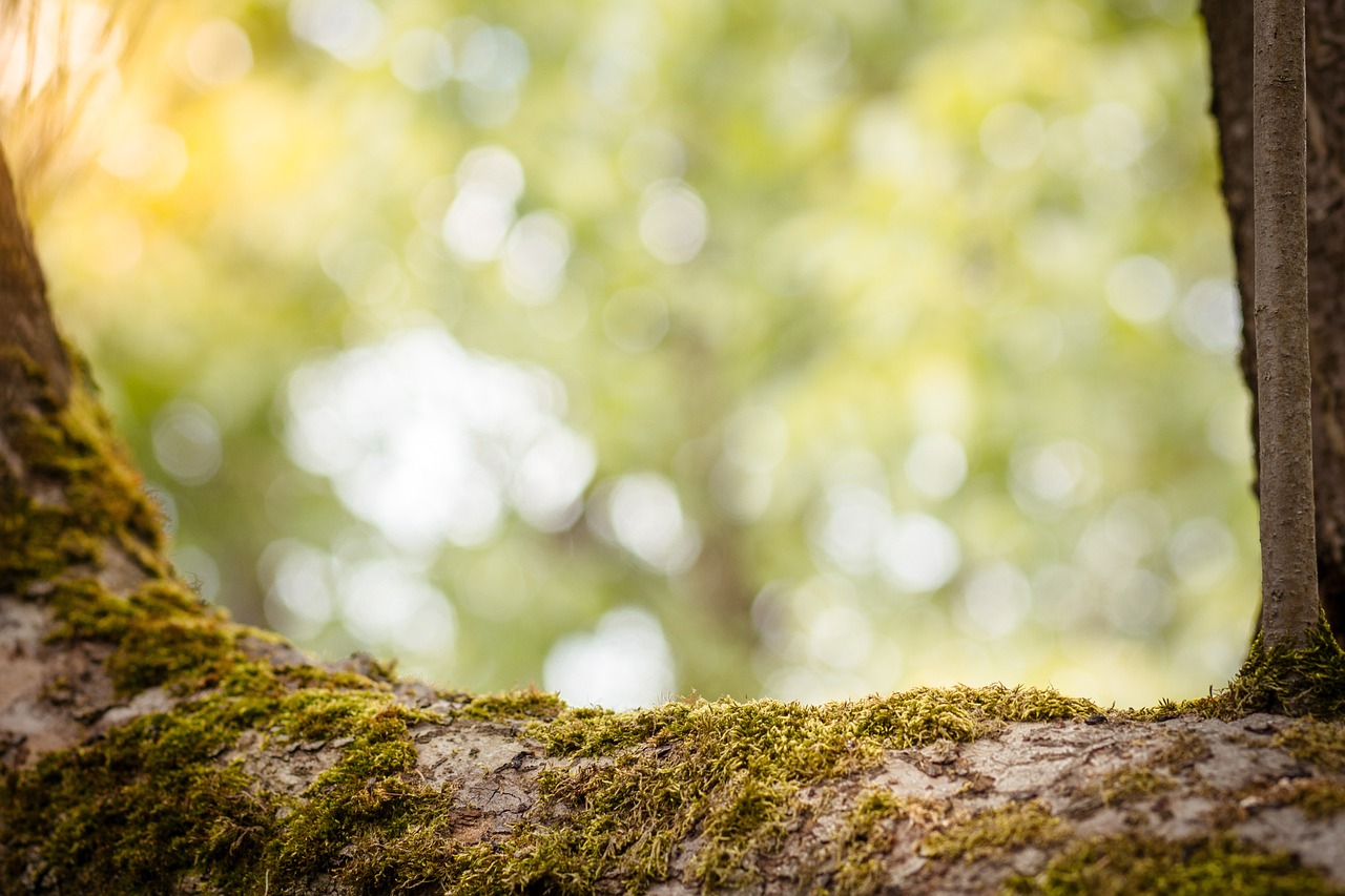How to Parent Sustainably?